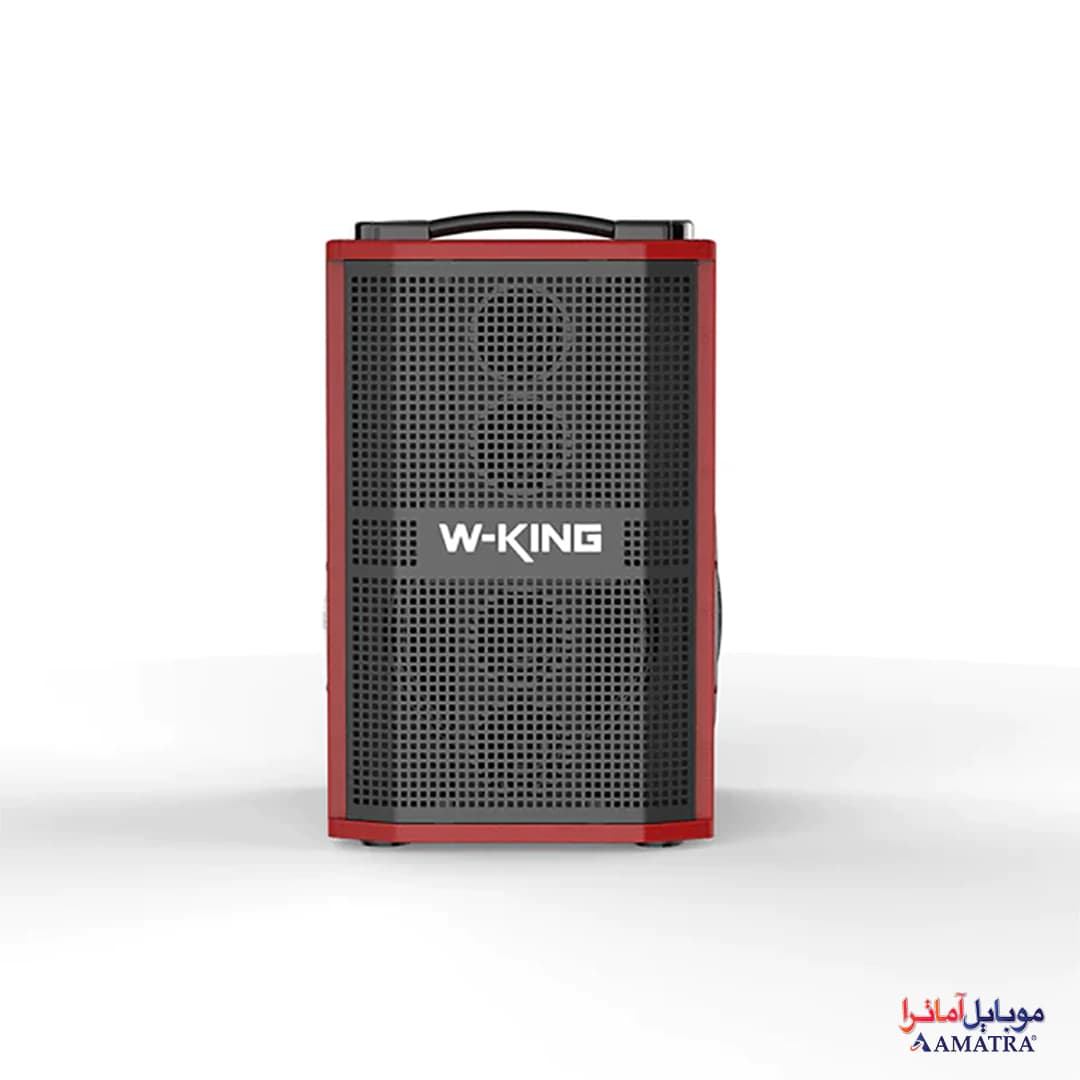 اسپیکر بلوتوثی 120 وات دبلیو کینگ همراه با 2 میکروفن مدل W-King K21 SE — تصویر ۴