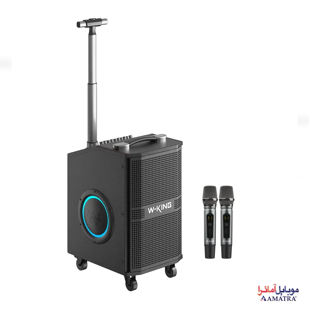 اسپیکر بلوتوثی 120 وات دبلیو کینگ همراه با 2 میکروفن مدل W-King K21 SE — تصویر ۲
