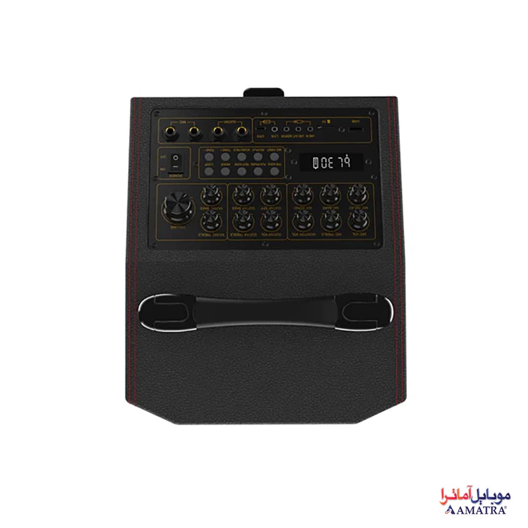 اسپیکر بلوتوثی 120 وات دبلیو کینگ همراه با 2 میکروفن مدل W-King K21 SE — تصویر ۵