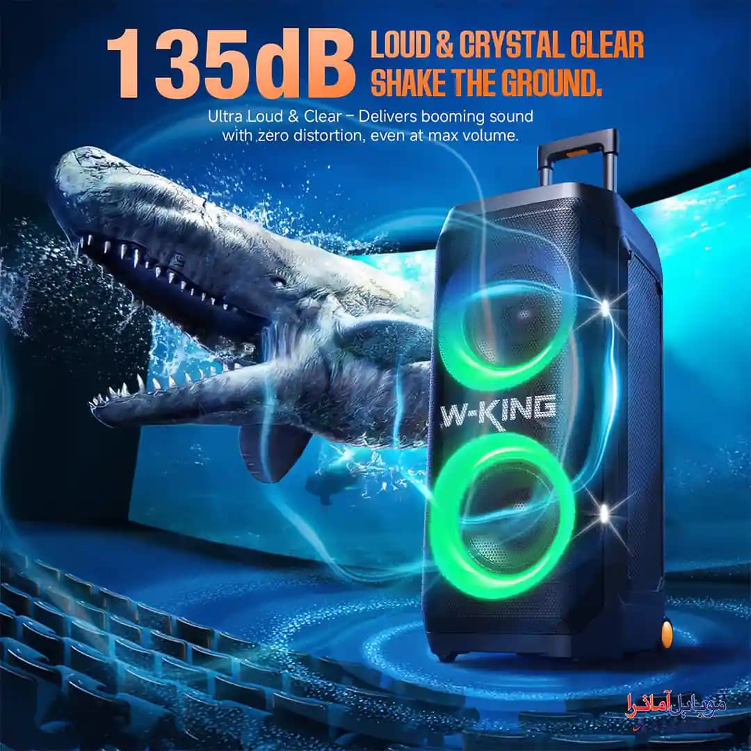 پارتی باکس 370 وات دبلیو کینگ همراه با 2 میکروفن مدل W-King T12 — تصویر ۵