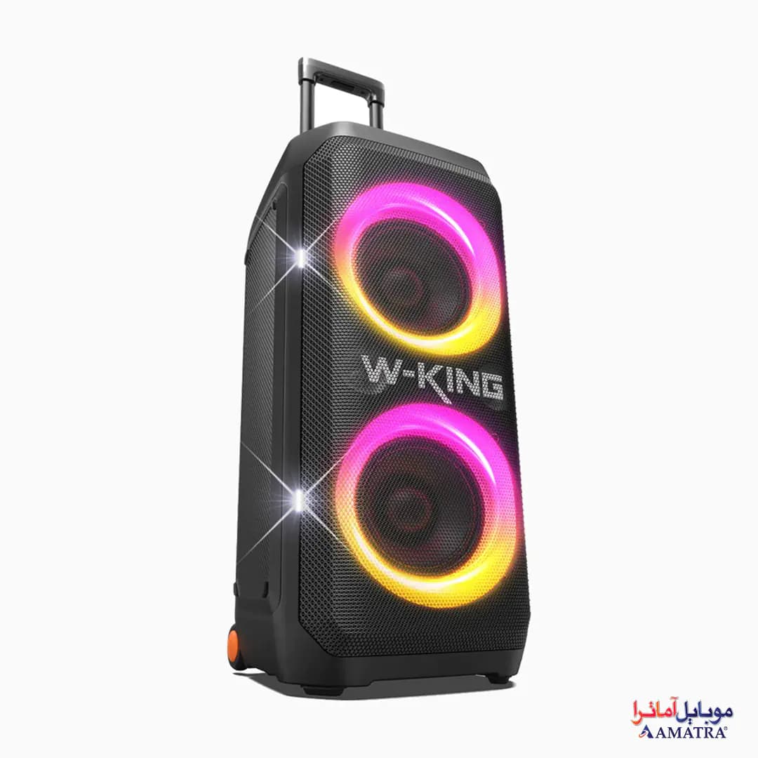 پارتی باکس 370 وات دبلیو کینگ همراه با 2 میکروفن مدل W-King T12 — تصویر ۳