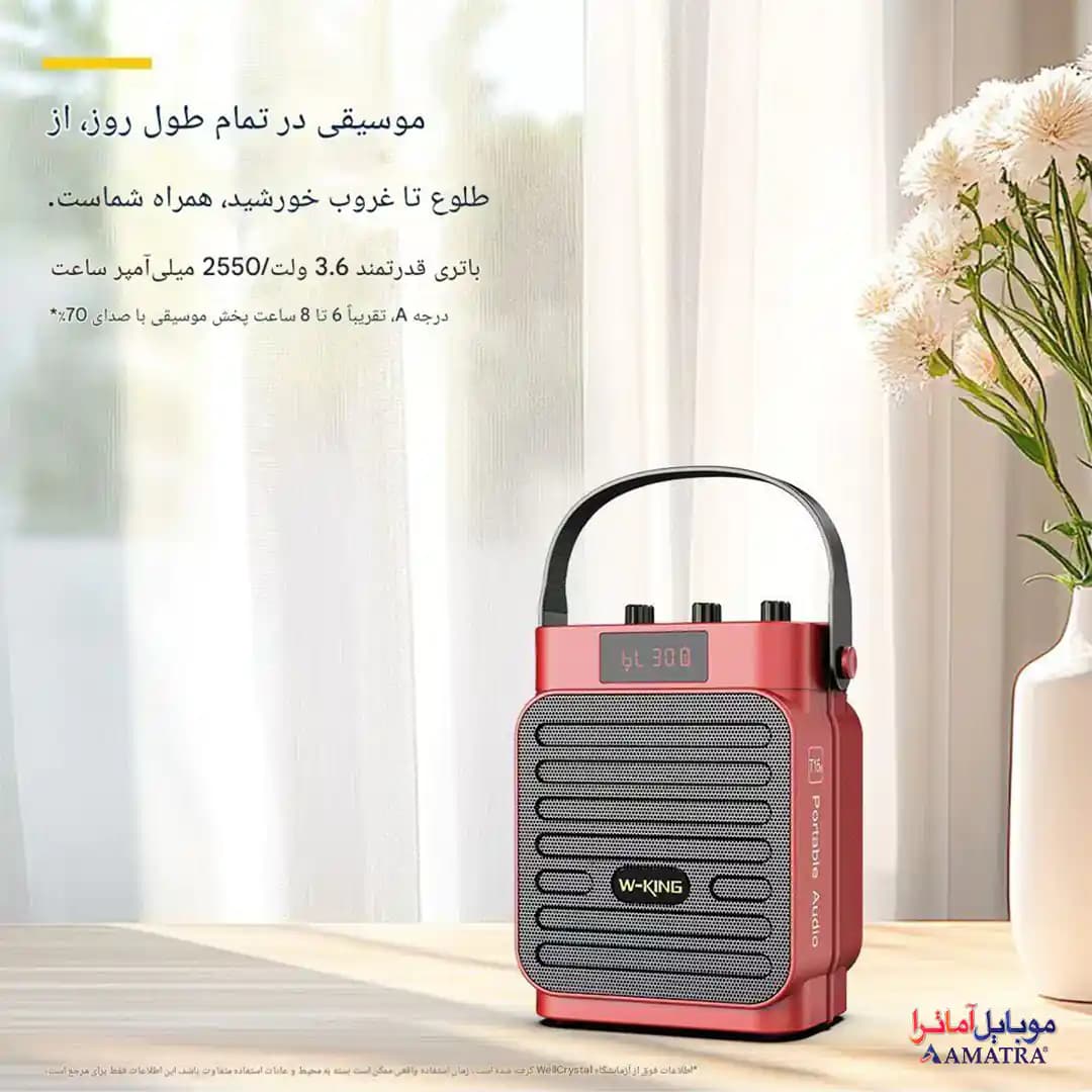 اسپیکر بلوتوثی 10 وات دبلیو کینگ مدل W-King T15S — تصویر ۵