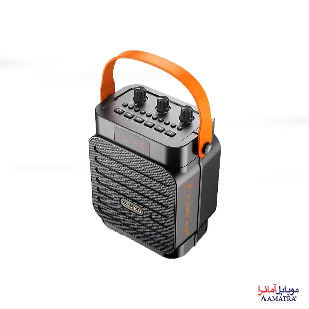 اسپیکر بلوتوثی 10 وات دبلیو کینگ مدل W-King T15S