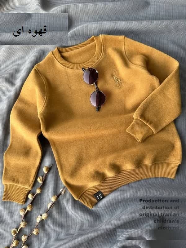بلوز سلانیک طرح پولو گروه رنگ دو — تصویر ۳