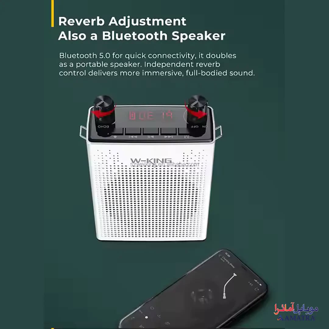 تقویت کننده صدا و رکوردر بلوتوثی دبلیو کینگ مدل W-King KS06 — تصویر ۳
