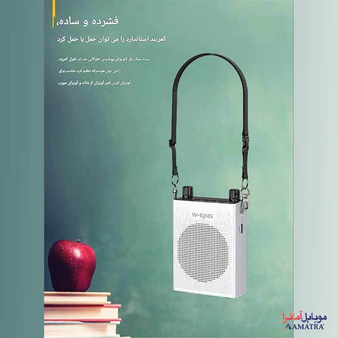 تقویت کننده صدا و رکوردر بلوتوثی دبلیو کینگ مدل W-King KS06 — تصویر ۶