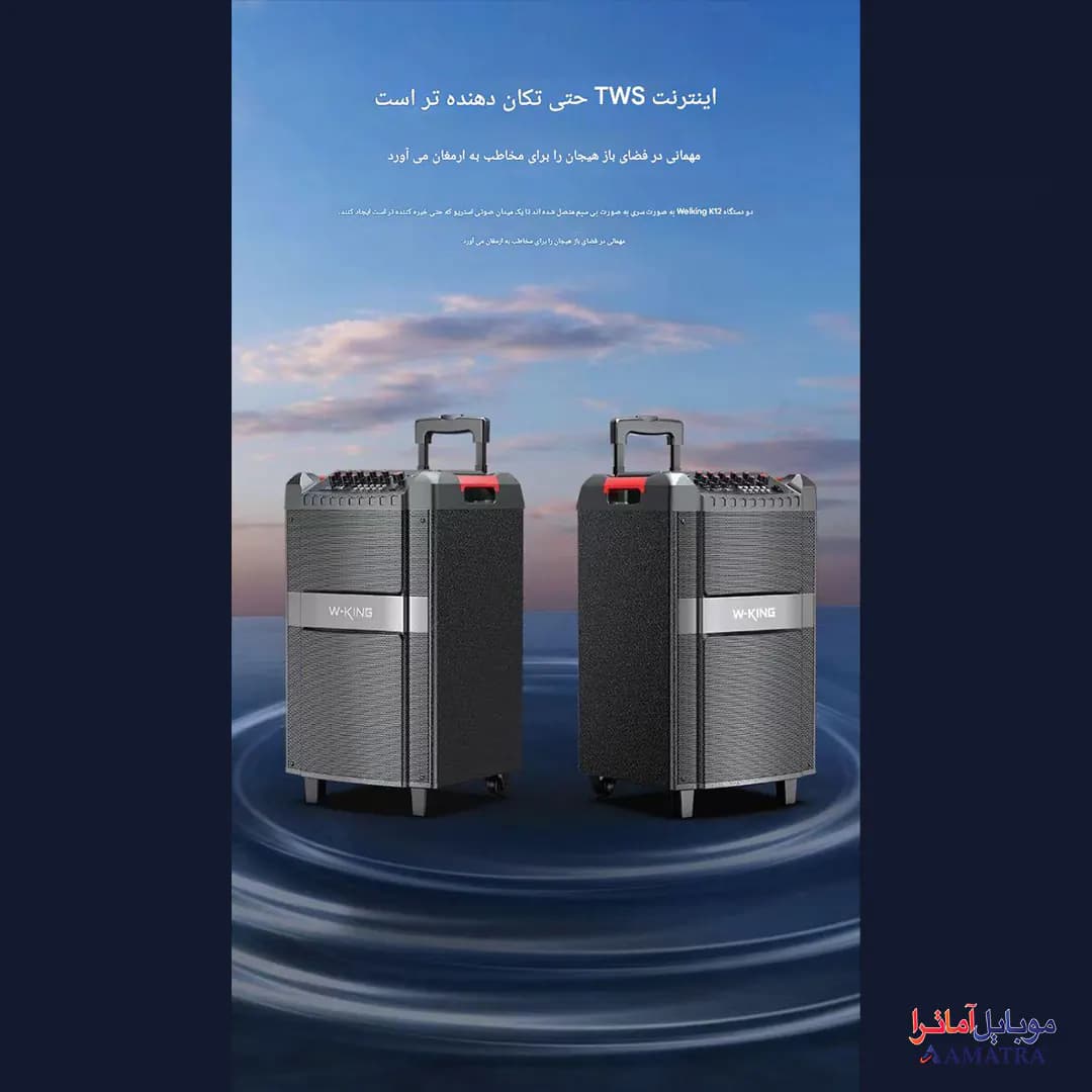 اسپیکر بلوتوثی ۱۲۰ وات دبلیو کینگ به همراه ۲ میکروفون مدل W-King K12 — تصویر ۵