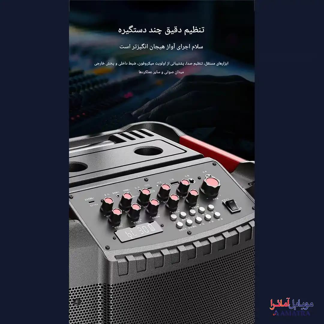 اسپیکر بلوتوثی ۱۲۰ وات دبلیو کینگ به همراه ۲ میکروفون مدل W-King K12 — تصویر ۶