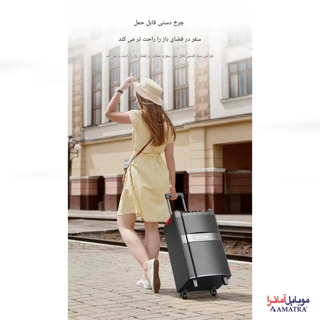 اسپیکر بلوتوثی ۱۲۰ وات دبلیو کینگ به همراه ۲ میکروفون مدل W-King K12 — تصویر ۷
