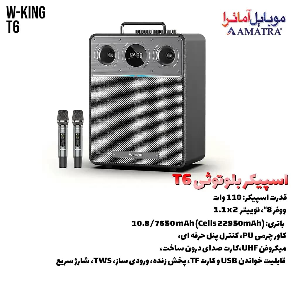 اسپیکر ۱۱۰ وات دبلیو کینگ مدل W-KING T6 — تصویر ۸
