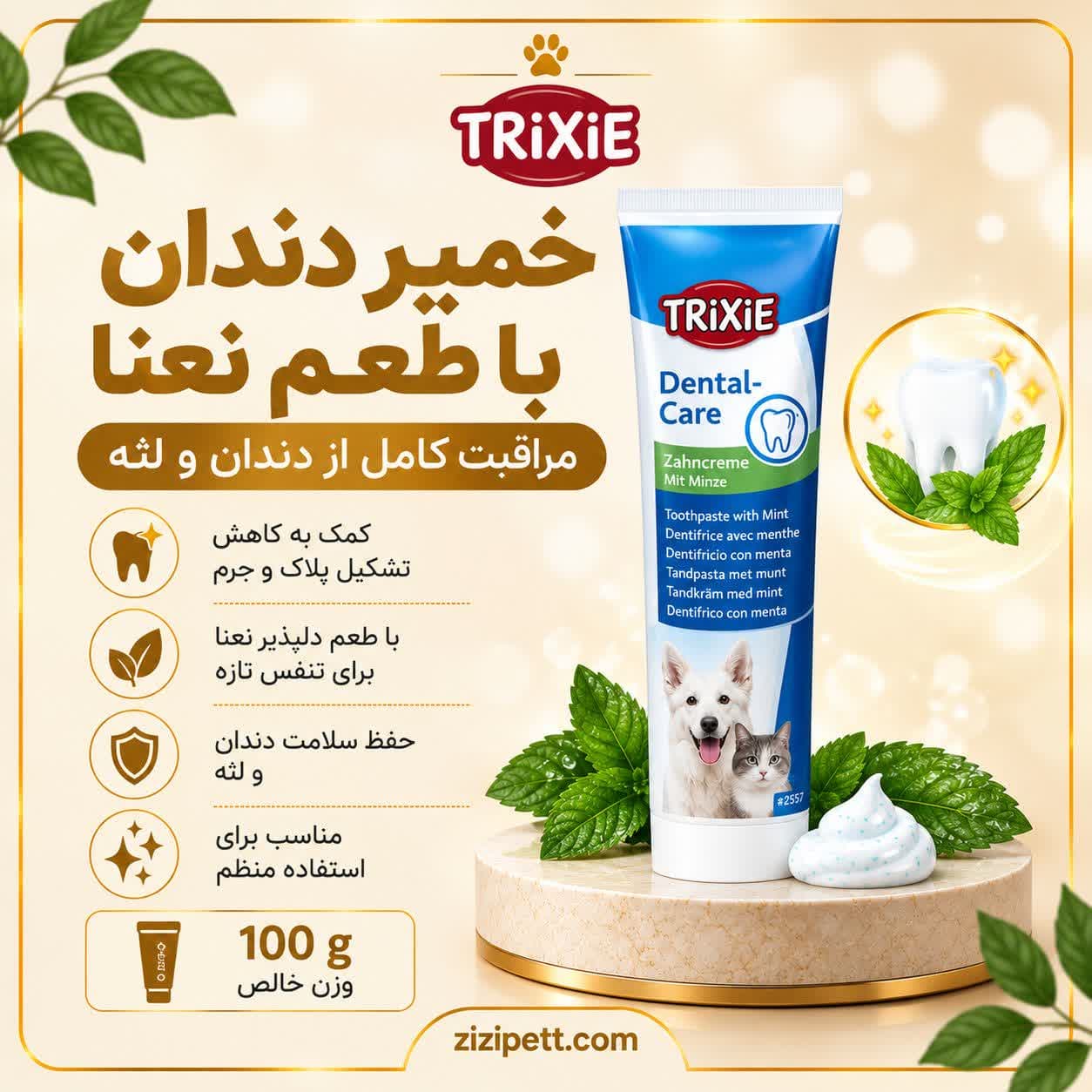 خمیردندان TRiXiE با طعم نعنا