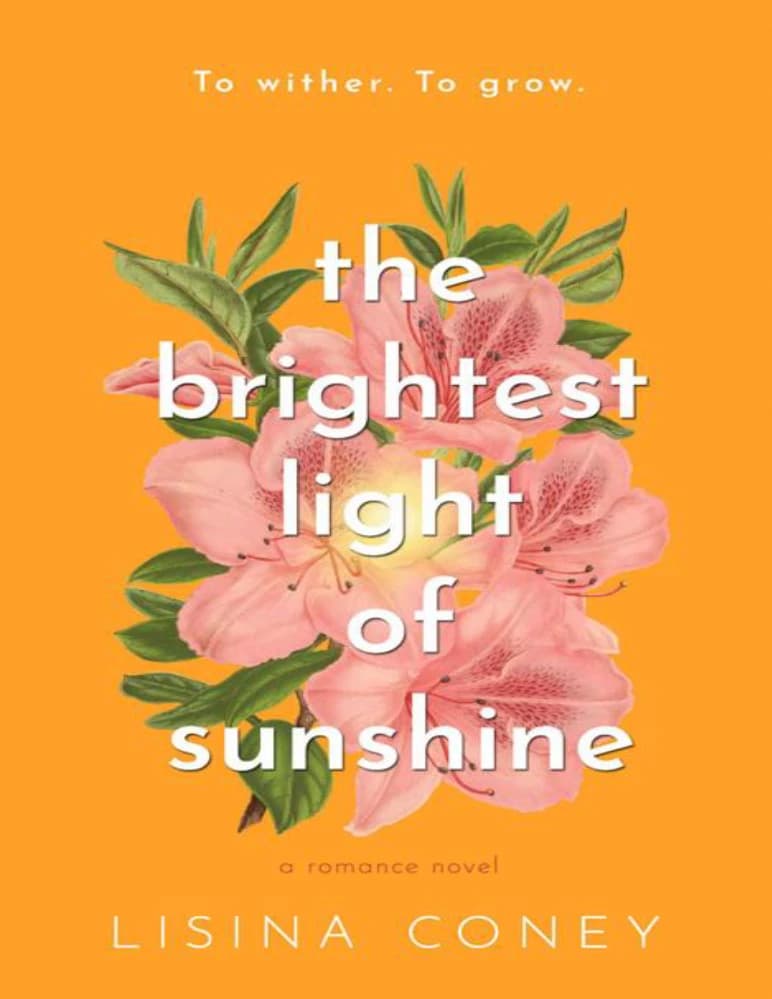 رمان The Brightest Light of Sunshine (درخشان‌ترین نور خورشید) نسخه انگلیسی PDF | لیزینا کانی