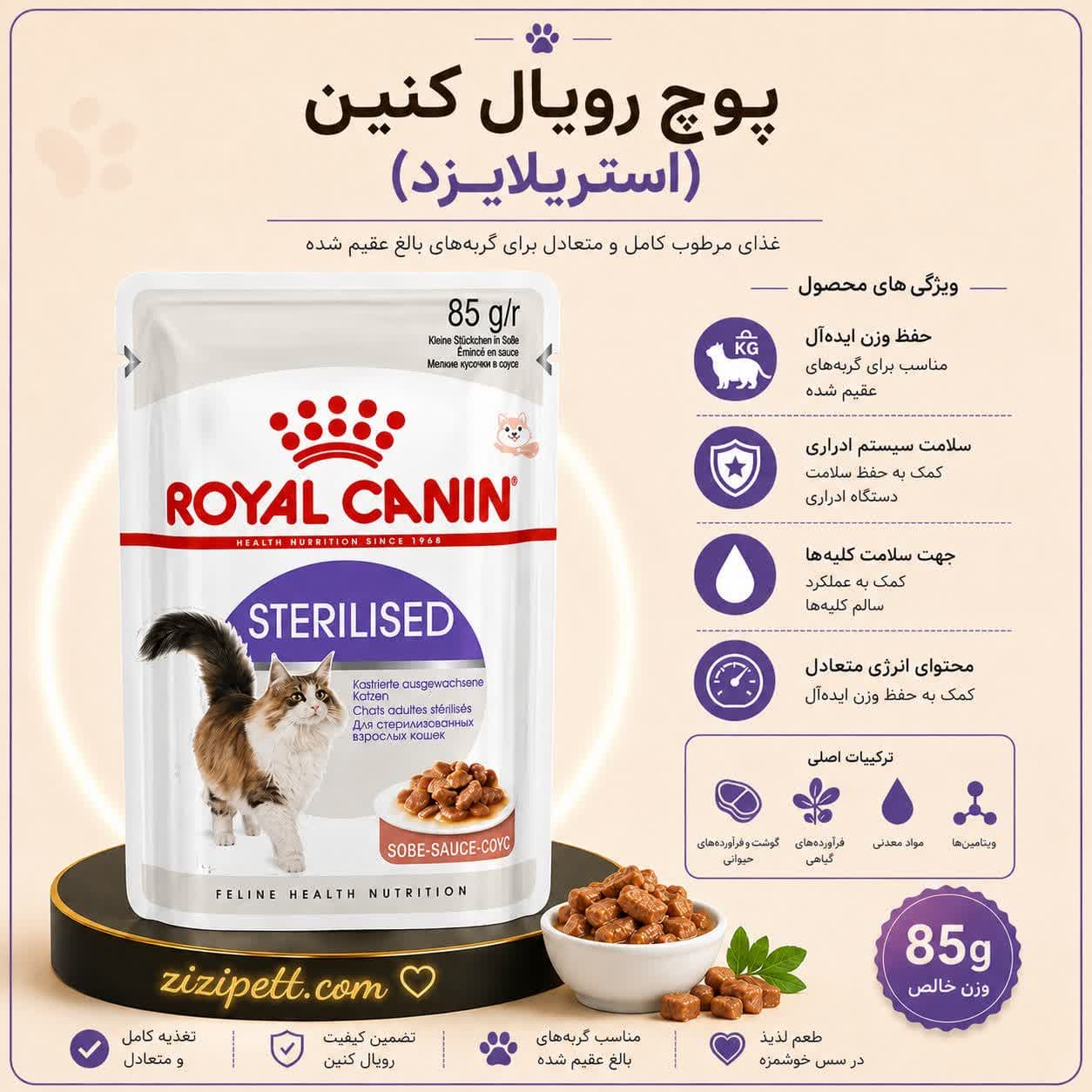 پوچ رویال کنین پیشی مدل استریلایزد
