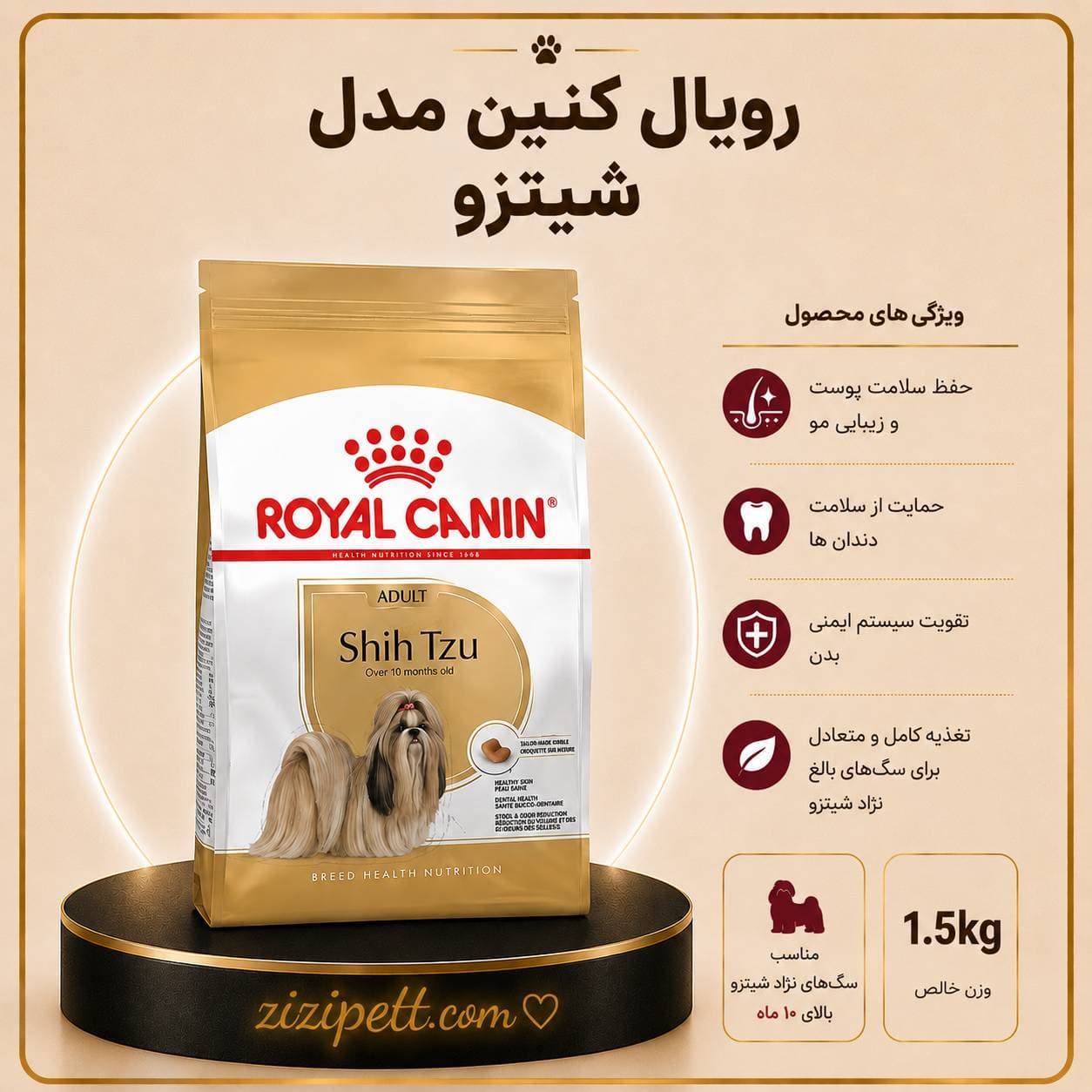 رویال کنین شیتزو ادالت