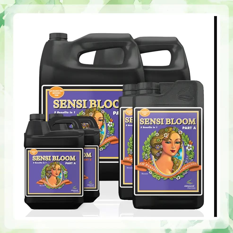 کود ادونس سنسی بلوم | ‏Sensi Bloom A&B‏ ‏