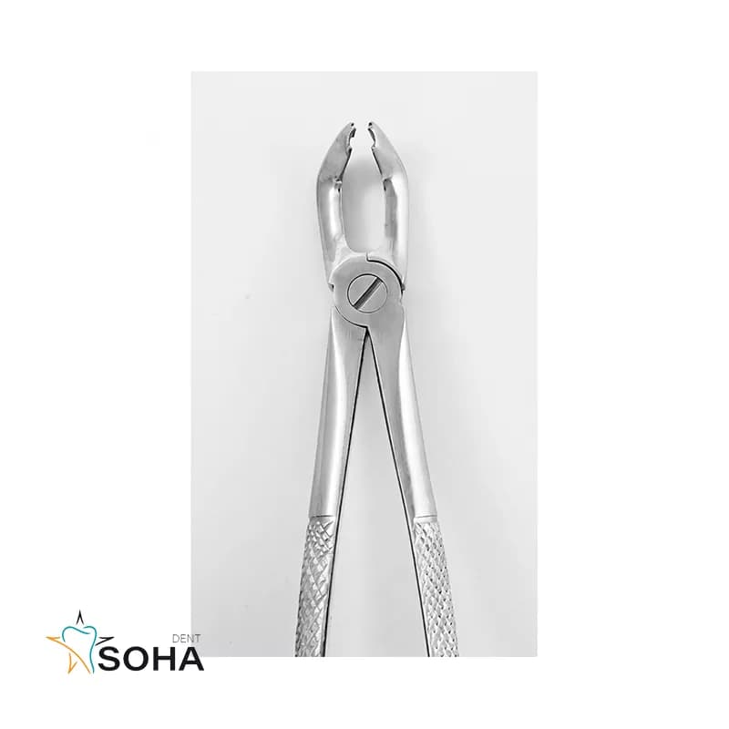 فورسپس عقل پایین برند کارا