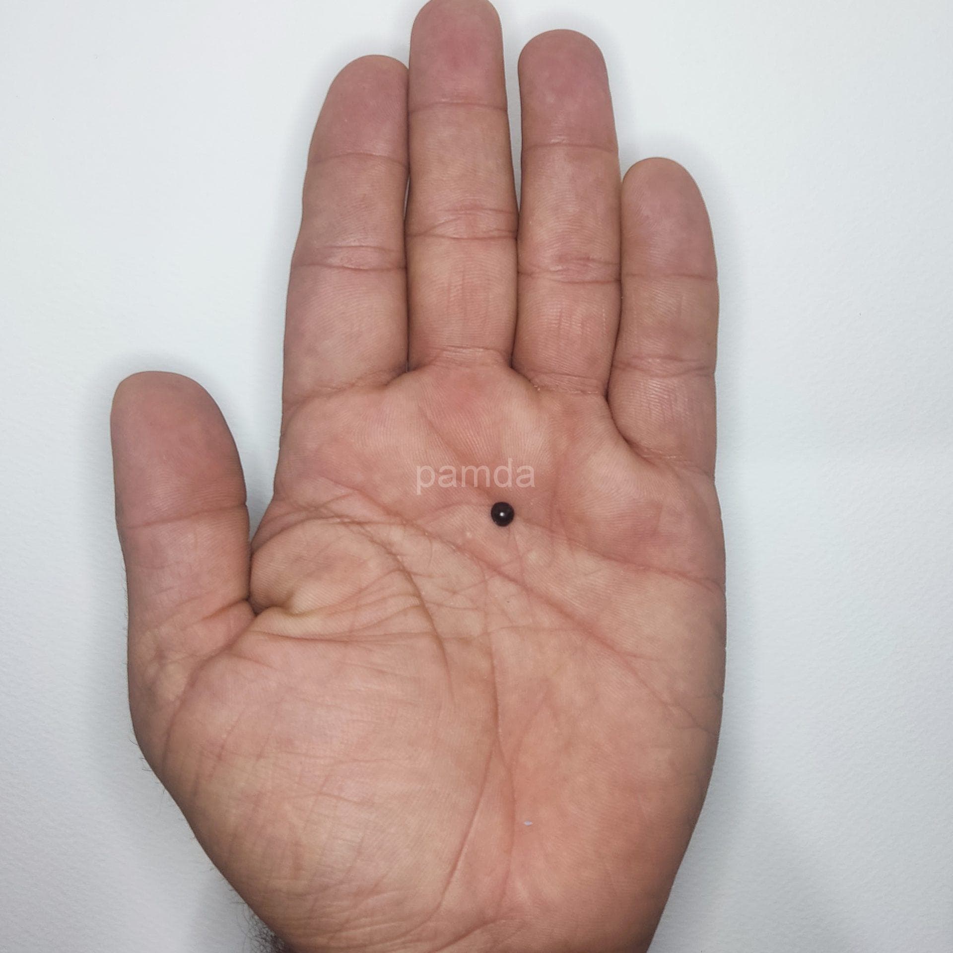 چشم عروسک گرد ۰ (۵ میلیمتر) (۱۰۰۰۰ عددی) — تصویر ۳