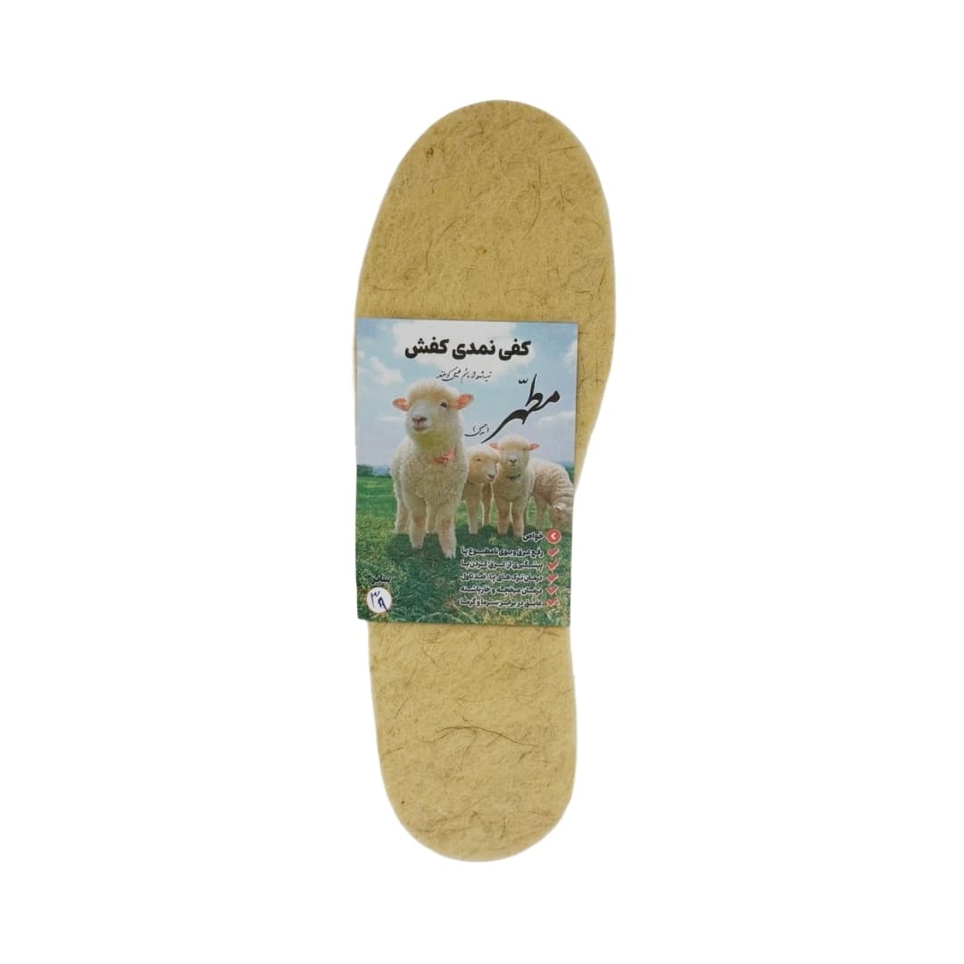 کفی نمدی 45