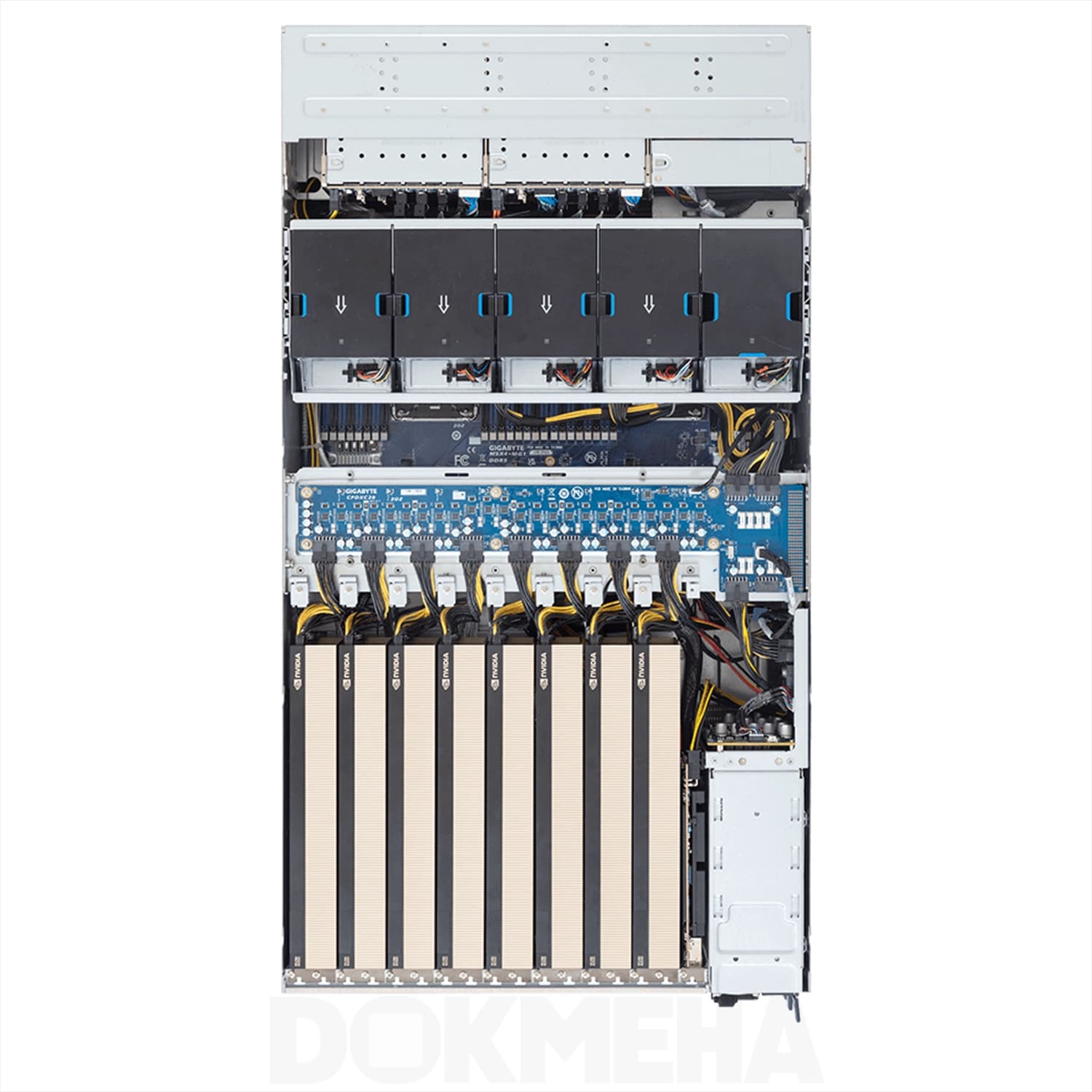 سرور گرافیکی هوش مصنوعی گیگابایت Gigabyte XL44-SX2-AAS1 8-GPU — تصویر ۳