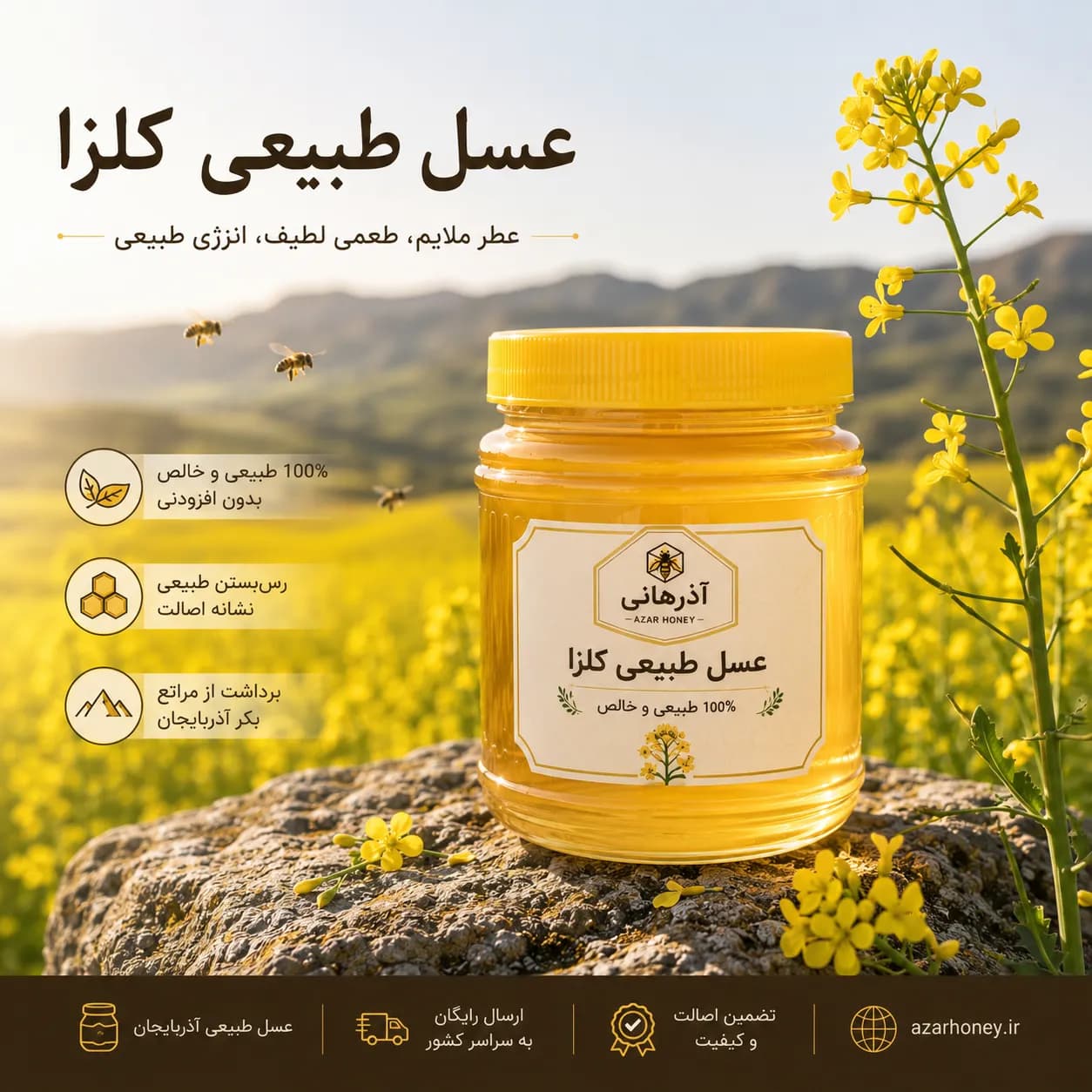 عسل طبیعی کلزا | خام، خالص و برداشت مستقیم از زنبورستان