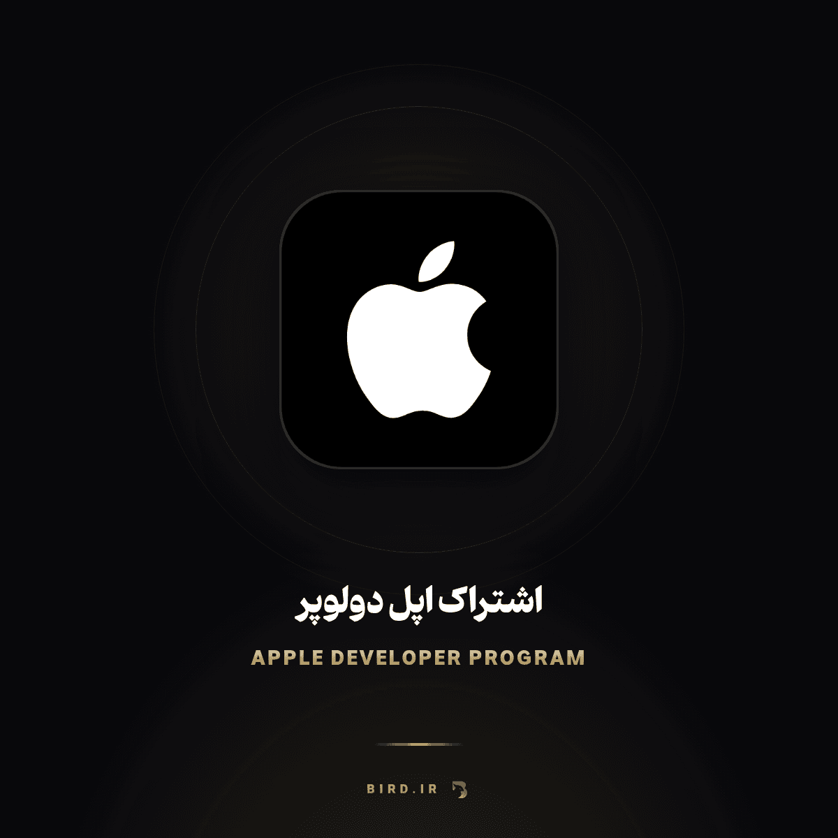 اشتراک اپل دولوپر (Apple Developer Program)
