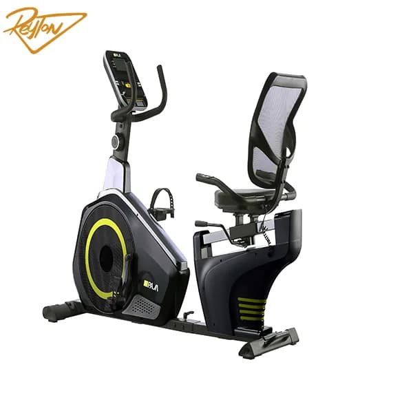 دوچرخه ثابت مبله مگنتی پاژا مدل YK-10M09R