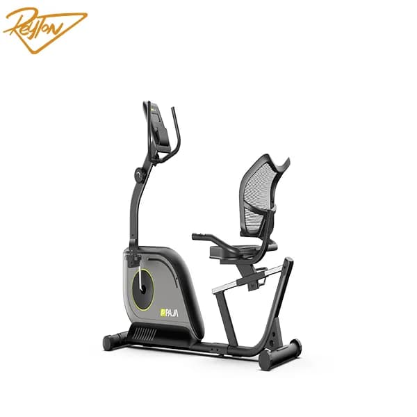 دوچرخه ثابت مبله پاژا مدل YK-10S19R