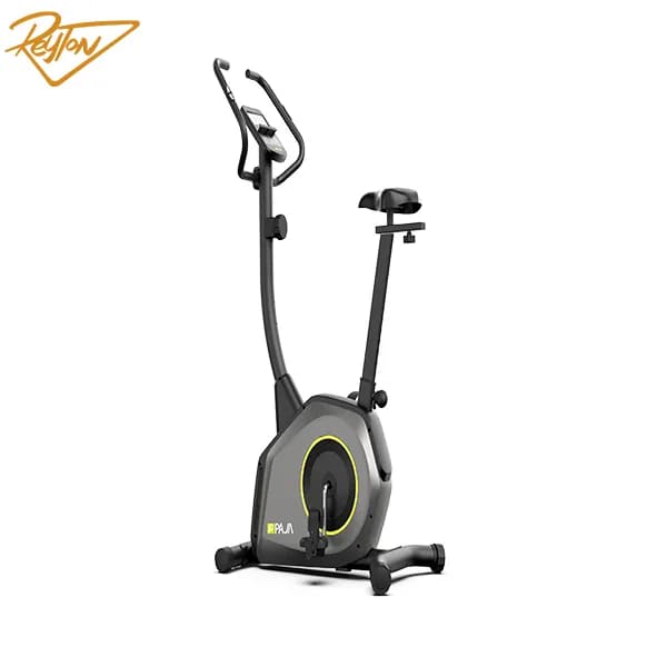 دوچرخه ثابت پاژا مدل YK-10S16B