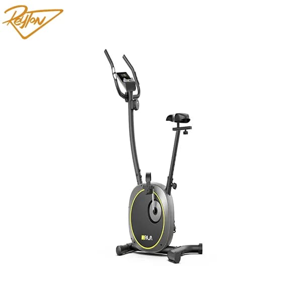 دوچرخه ثابت پاژا مدل YK-10S02B