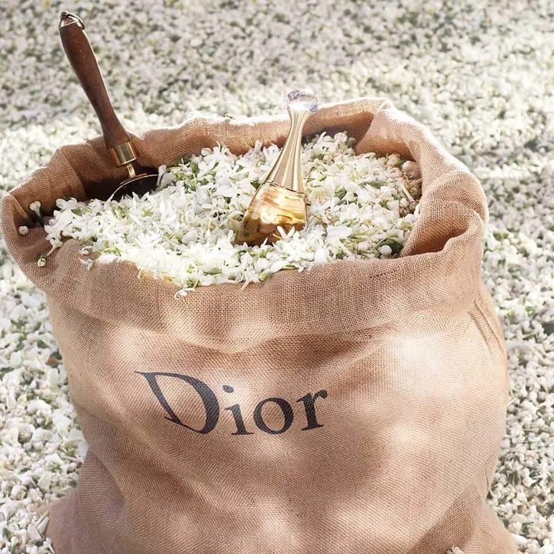 عطر زنانه Dior J’adore Eau de Parfum حجم 100 میلیلیتر — تصویر ۸