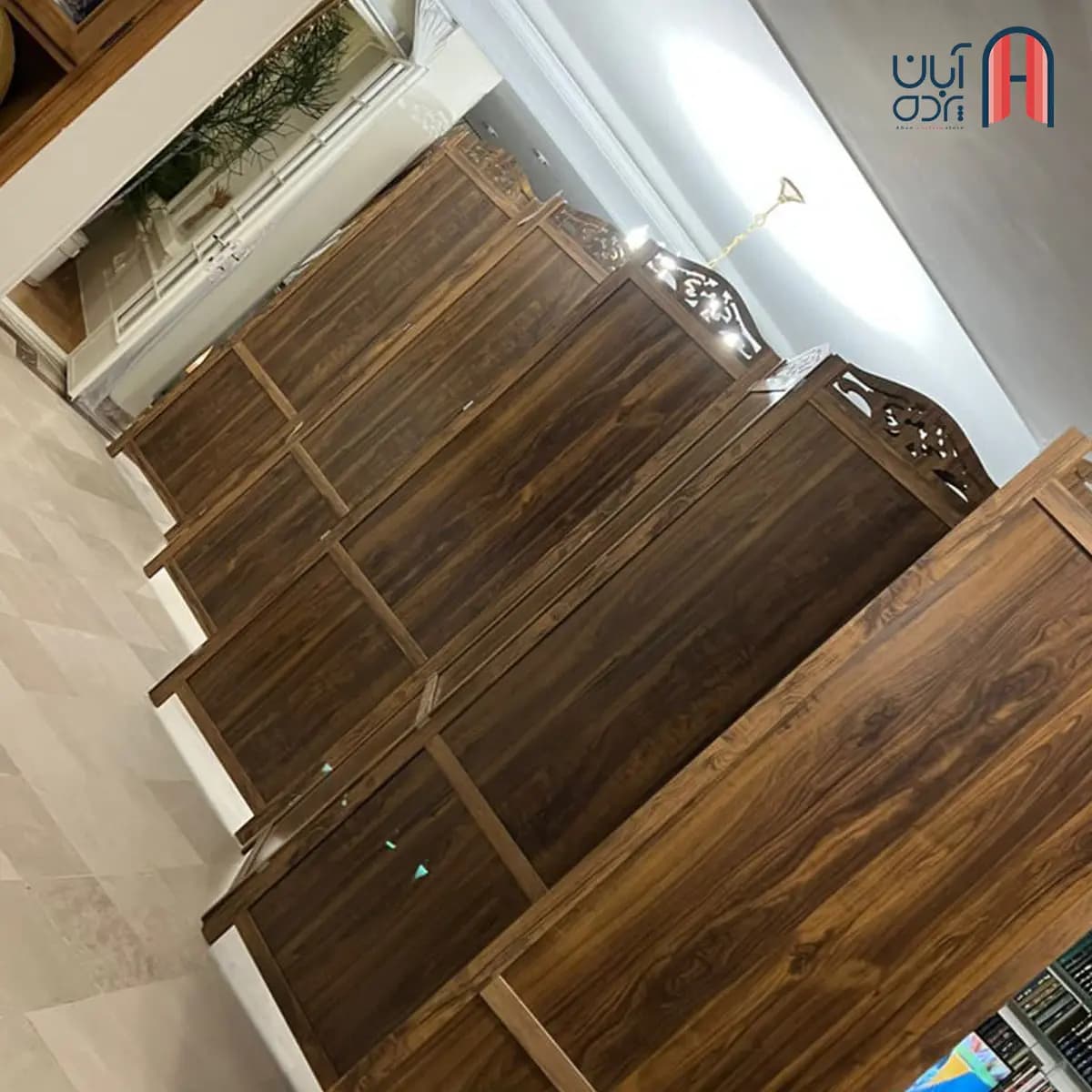 پاراوان تاجدار رنگ زیتونی — تصویر ۶