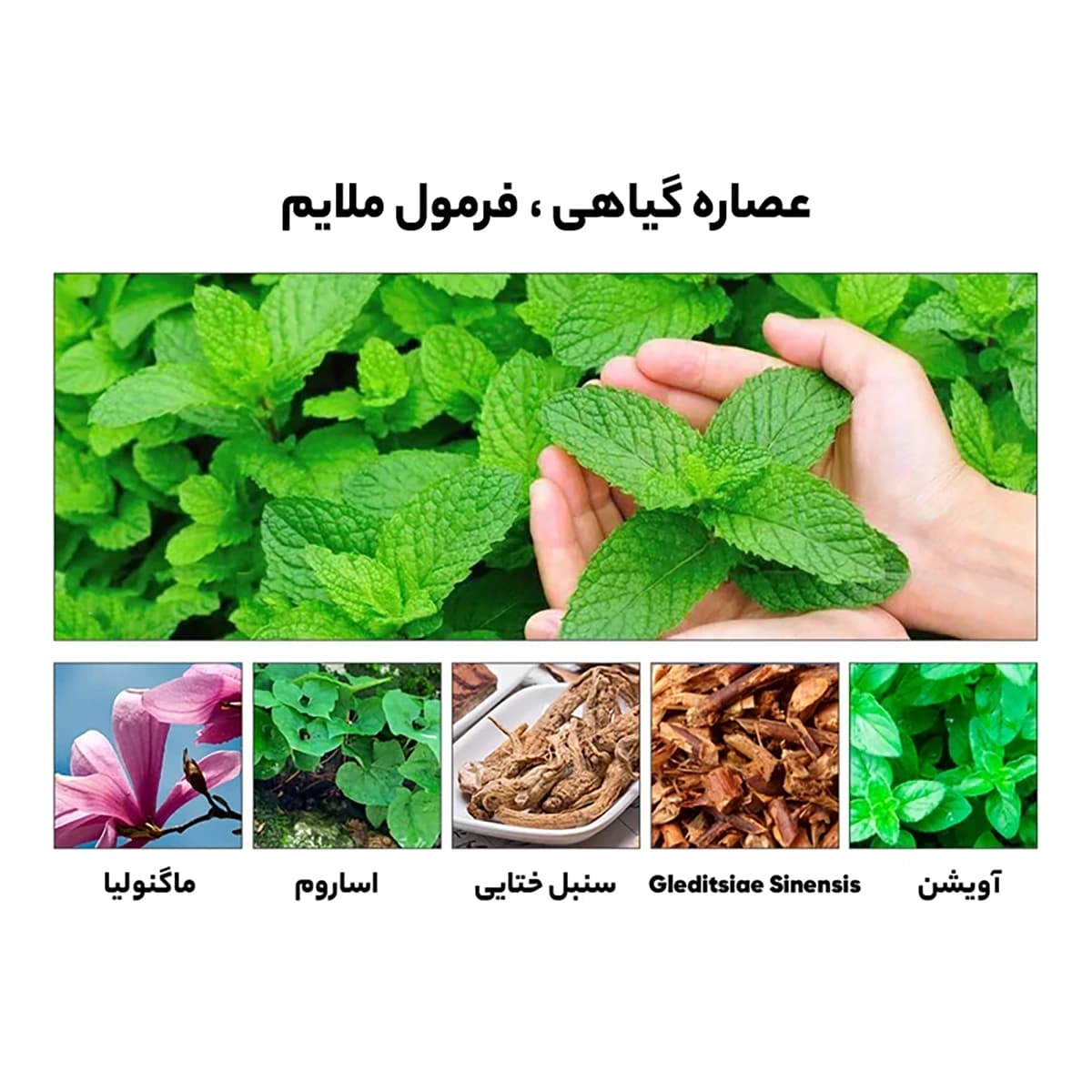 قطره سفید کننده دندان لنبنا مدل اسنس | حجم 10 میل — تصویر ۵
