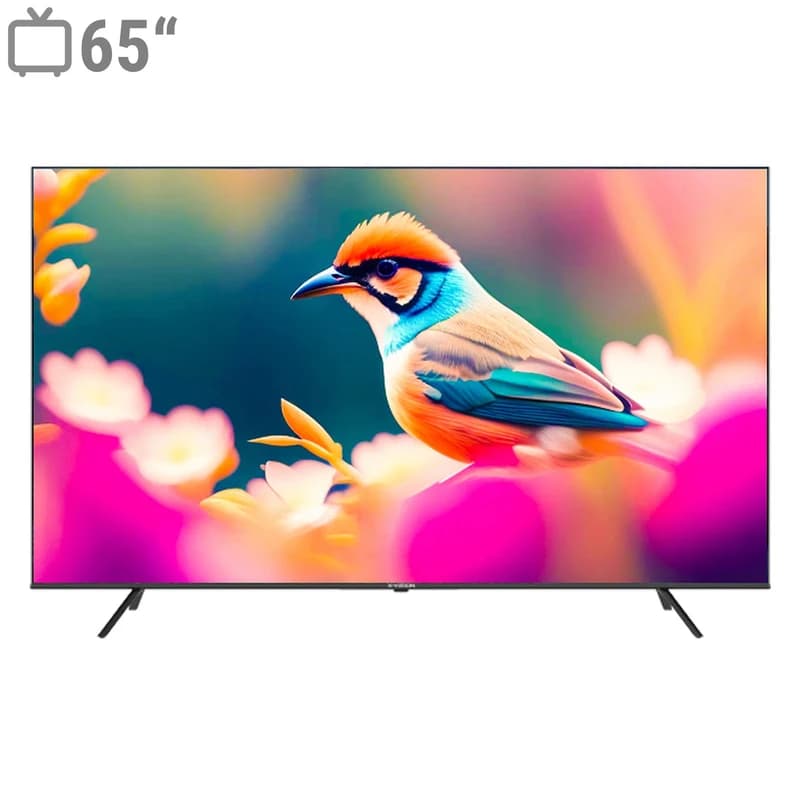 تلویزیون ایکس ویژن 65 اینچ کیو مدل 65X15 (پس کرایه)
