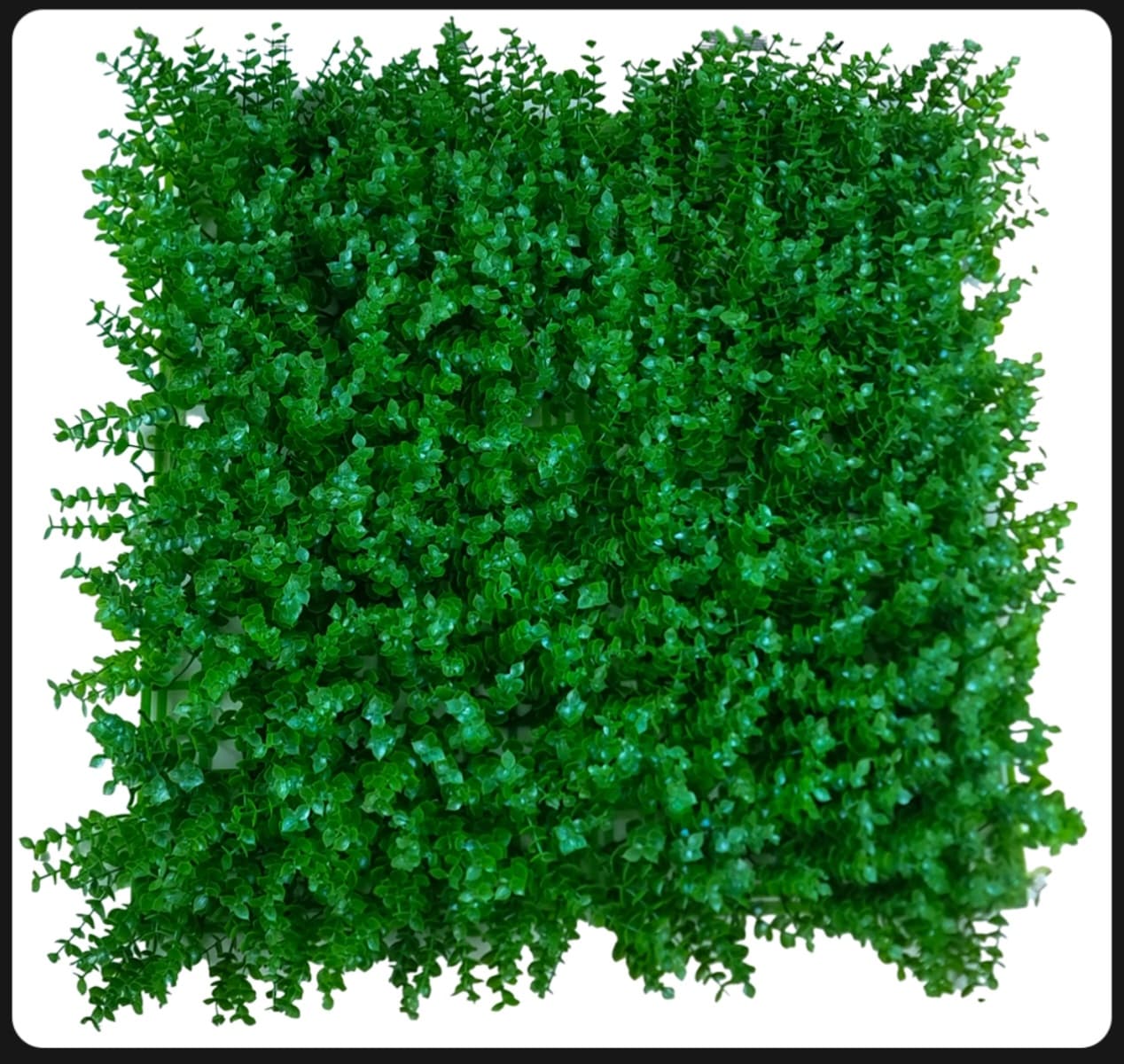 چمن مصنوعی گرین وال شمشادی ساده