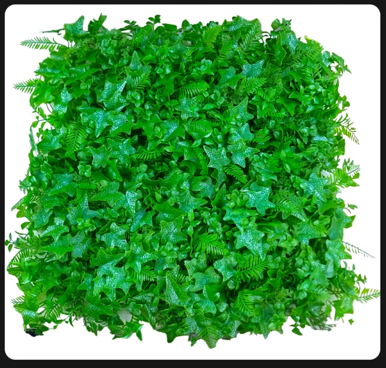 چمن مصنوعی گرین وال پاپیتال سیکاس