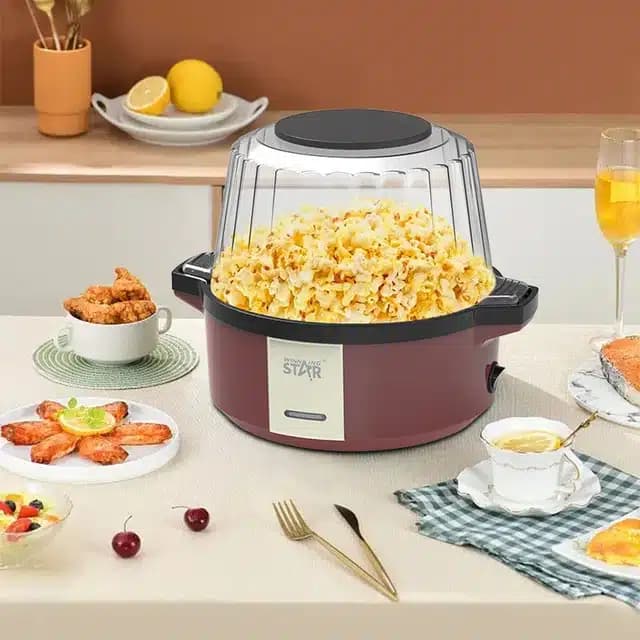 Fabricant électrique de pop-corn à l’huile chaude Machine à pop-corn automatique d’agitation pour les enfants de fête à la maison 2L 220V