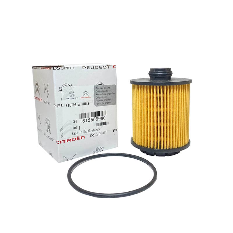 فیلتر روغن دی اس6 _ DS6 وارداتی