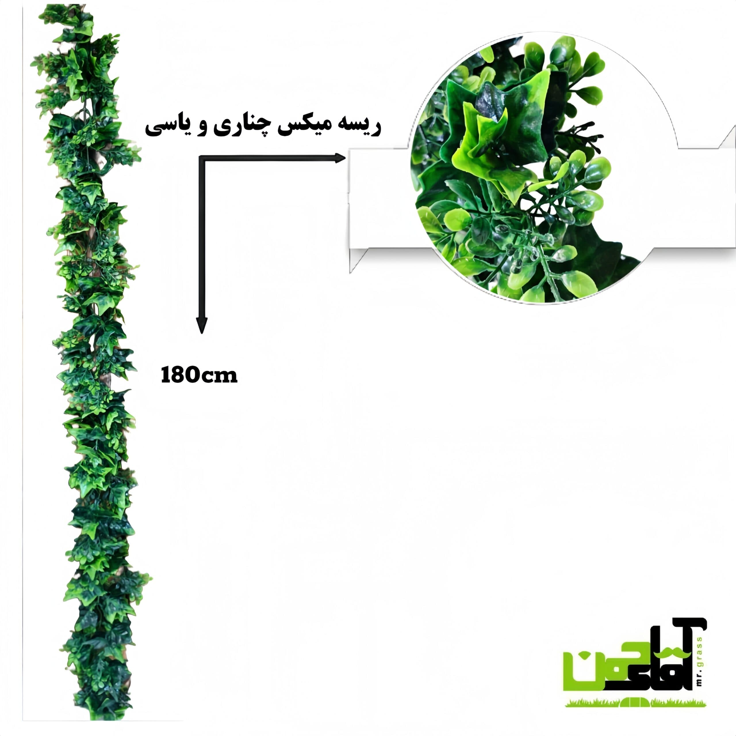 ریسه میکس چناری و یاسی