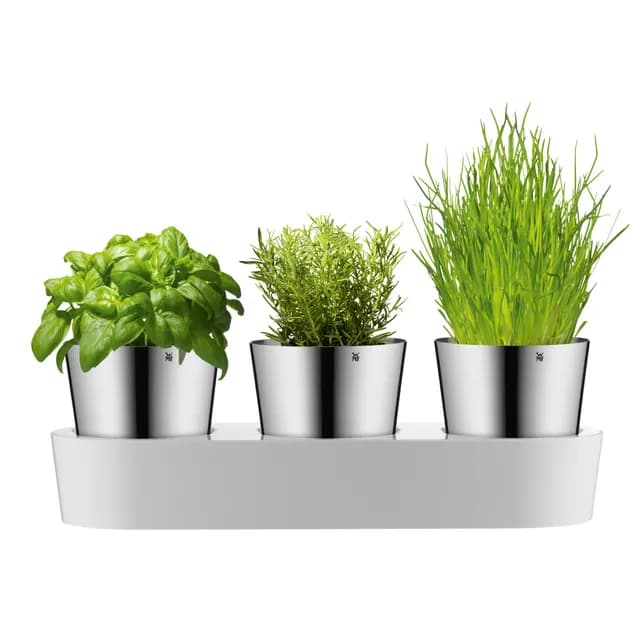 گلدان 3 عددی دبلیو ام اف مدل WMF Herb garden 3pcs — تصویر ۲