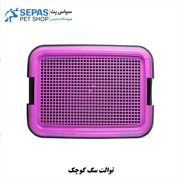 توالت سگ کوچک