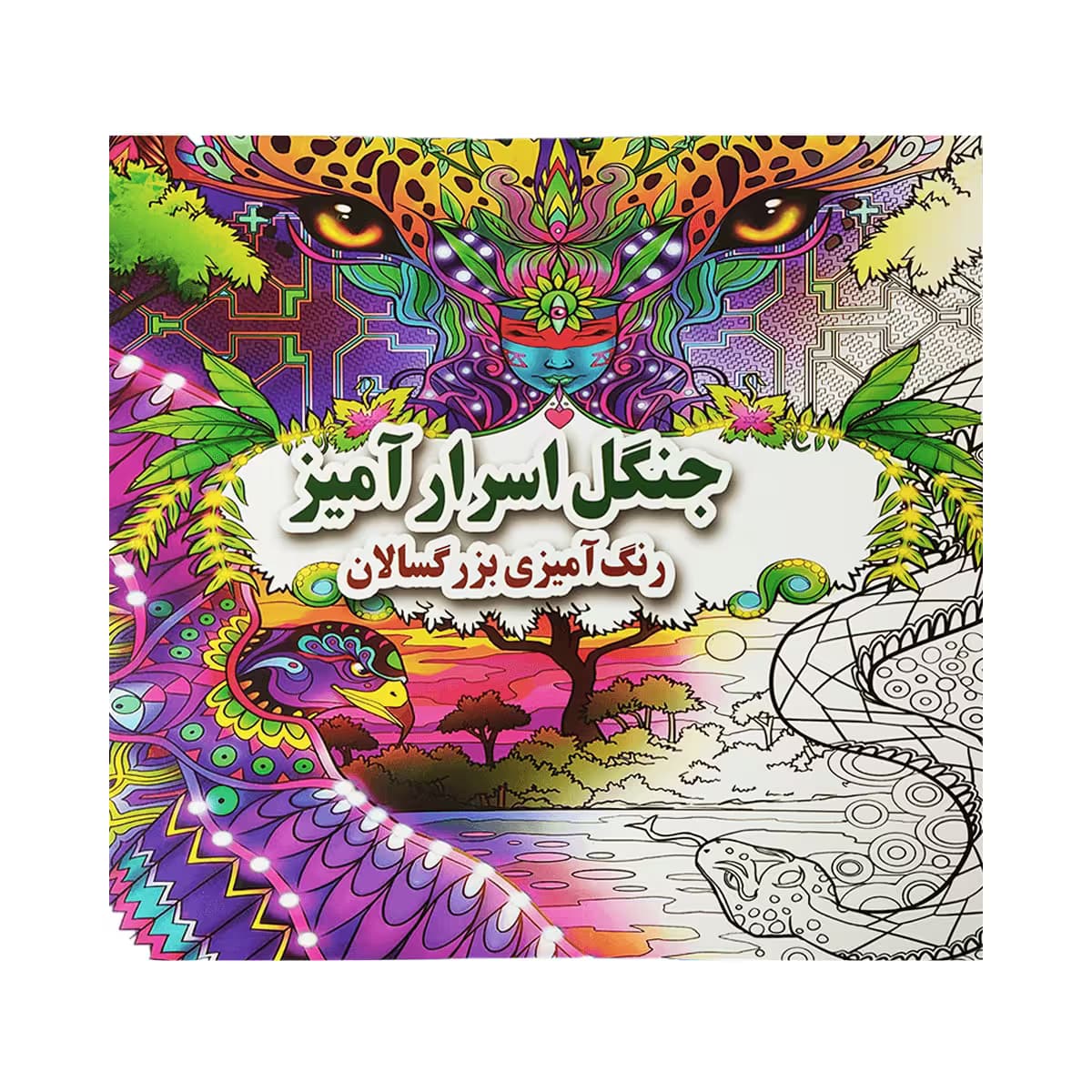 کتاب رنگ آمیزی بزرگسالان – جنگل اسرارآمیز