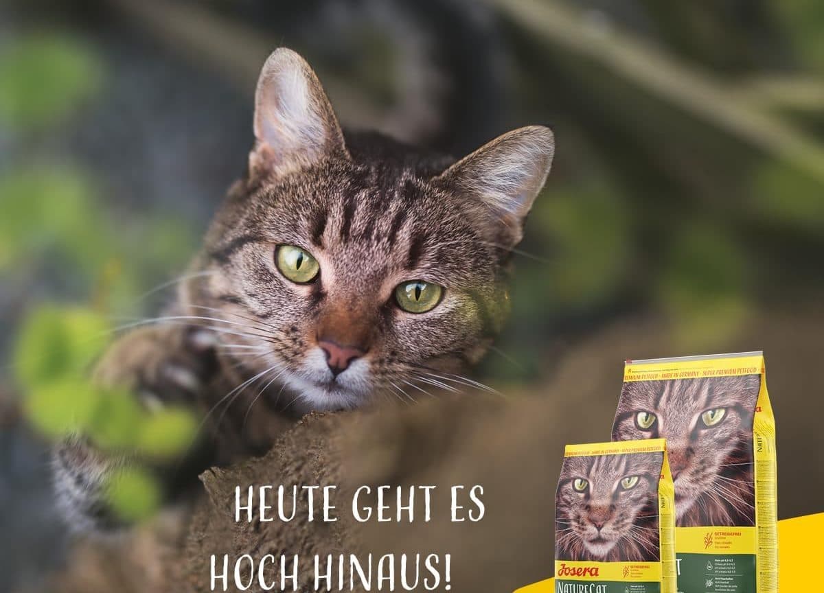 غذای خشک گربه بالغ 2 کیلویی جوسرا مدل NATURECAT — تصویر ۹