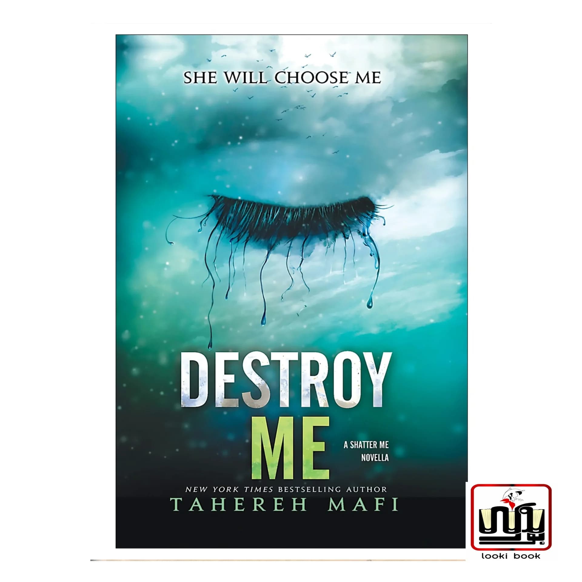 کتاب Destroy Me (رمان منو نابود کن)