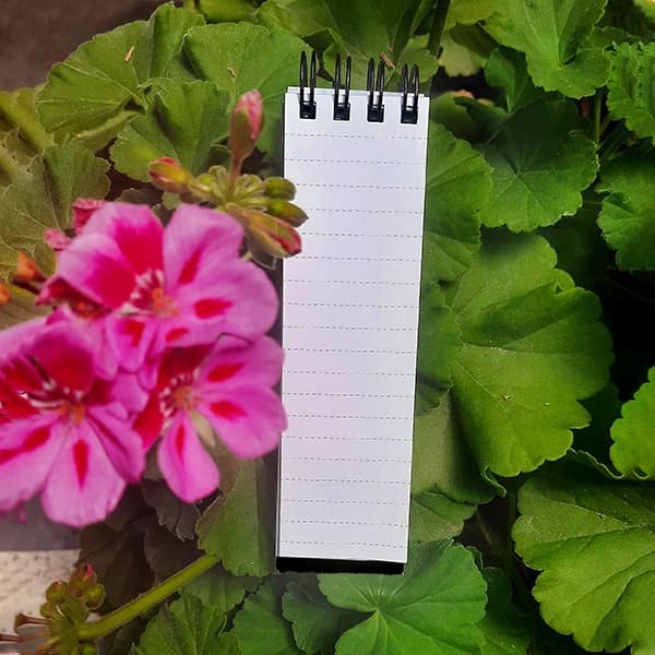 دفترچه یادداشت مدل mini bell کد 678 — تصویر ۵