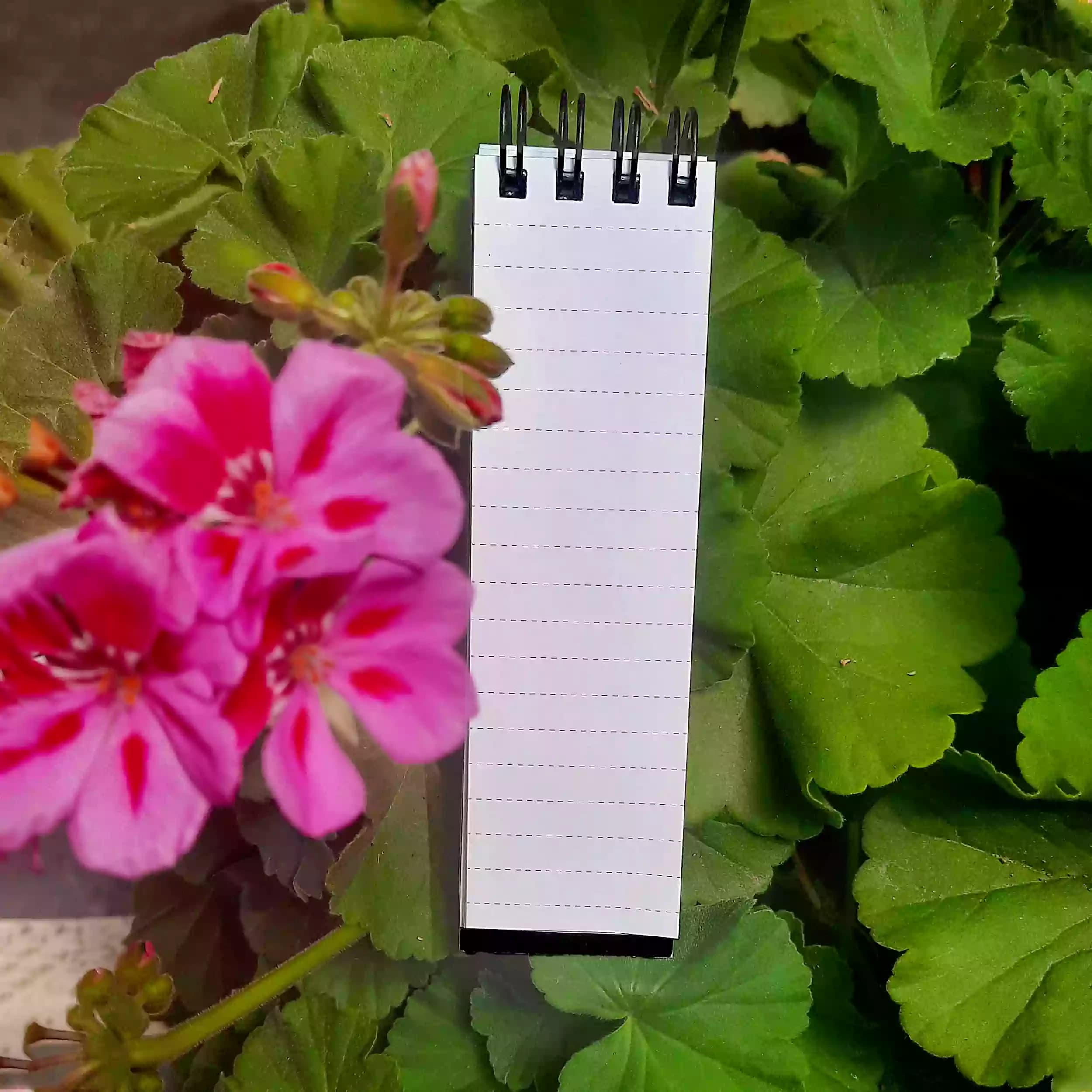 دفترچه یادداشت مدل mini bell کد 399 — تصویر ۵