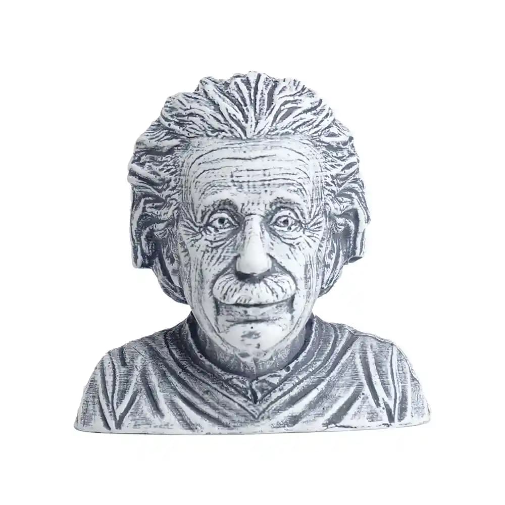 مجسمه سردیس انیشتین — تصویر ۳