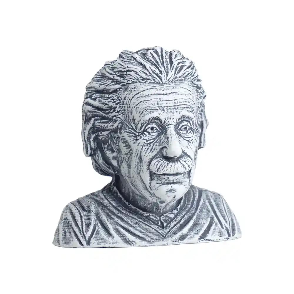 مجسمه سردیس انیشتین