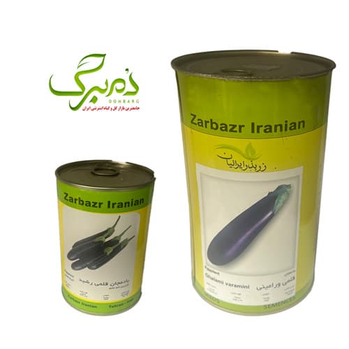 بذر بادمجان قلمی ورامینی زربذر ایرانیان