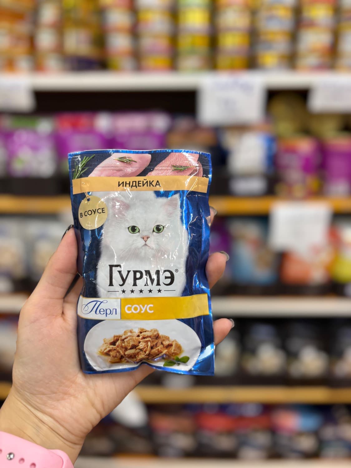 پوچ گورمت گربه با طعم مرغ در ژله