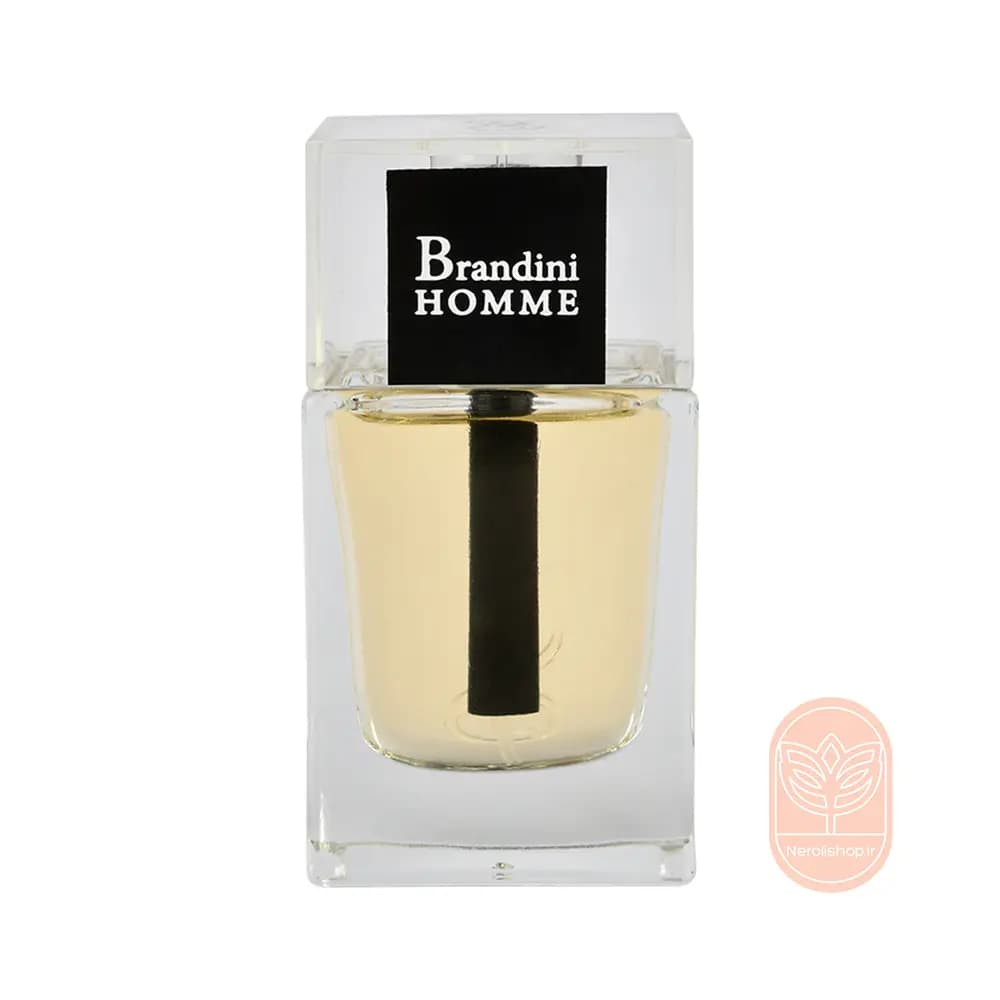عطر دیور هوم برندینی | Brandini Homme — تصویر ۳